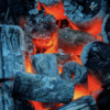 Prime Grade Binchotan Japanese Charcoal 10kg. The best you can buy - Image 6