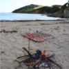 Pro Q Flip'N Grate - Stainless Steel Portable BBQ Swivel Grill - Image 5