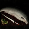 Flint & Flame 9" Fillet Knife