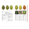 SousVide - Modernist Cuisine at Home Book - Image 2