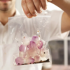SousVide - Modernist Cuisine at Home Book - Image 11