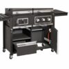 Toronto Kombi - Dual Fuel Buffalo BBQ - Image 6