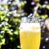 Organic Jun-Kombucha - 330ml - Image 3